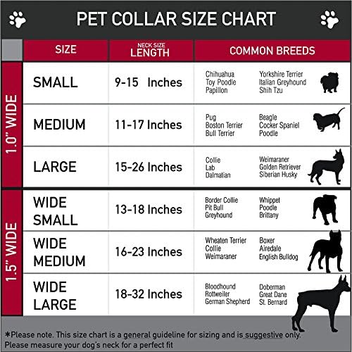 צווארון כלב אבזם צווארון חגורת בטיחות צעצוע אבזם אבזם באזז באז אור גבול אור אדום ירוק סגול 11 עד 17 אינץ 'ברוחב 1.0 אינץ', רב צבע
