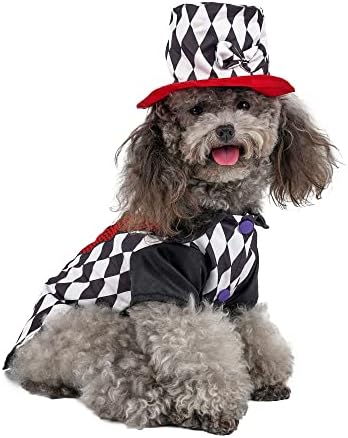 תלבושות כלבים של קוסם מוגוקו, סרבל קוספליי של חיית המחמד עם כובע, תלבושת קוסם מקסימה, בגדי תלבושות חמים לבגדים