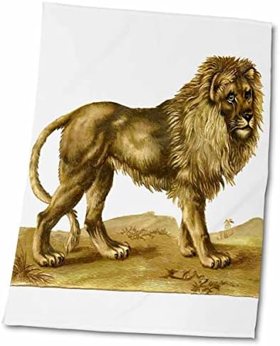 דפוס 3 דרוז של ציור אריות ויקטוריאני מאוחרת של מלכותית - מגבות