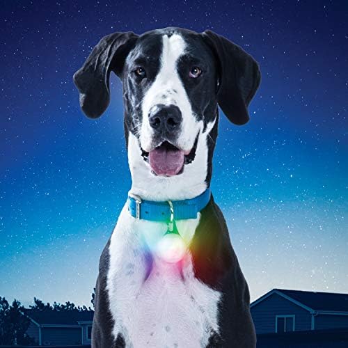 Nite Ize Spotlit XL LED צווארון אור, Carabiner קליפ הכלב אור, נטענת USB, דיסק-או בחר צבע שינוי אור