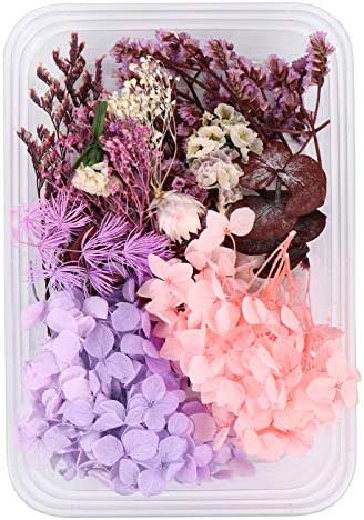 צמחי עמוספון DIY פרחים יבשים עלים פרחים לחוצים מבושמים מלאכת שרף מלאכה לסבון אמבטיה מכין פרחים מילוי אגרטל לתכשיטים להכנת אלבומים אמנות פרחים צמחי צמחים תפאורה