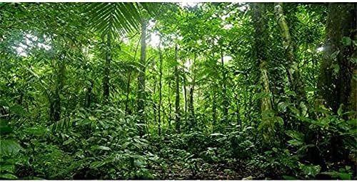 36 על 18 סנטימטרים חממה רקע טרופי אקווריום רקע ירוק ענק עץ יער גשם זוחלים בית גידול רקע