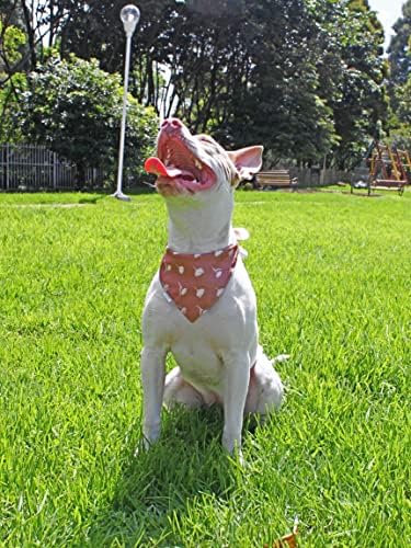 פטוורת ' כלב בנדנות-דו צדדי קנסינגטון עיצוב סט - פרימיום רך בד-צעיף טבעת שמאי-גדלים מרובים מוצע
