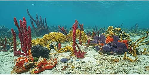 24 על 12 סנטימטרים אלמוגים אקווריום רקע התת דגי טנק רקע ויניל