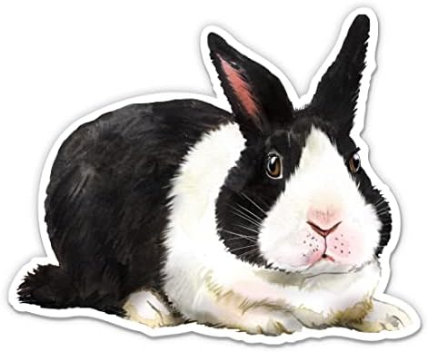 מדבקות ארנב ארנב שחור לבן חמוד - 2 חבילות של מדבקות 3 אינץ ' - ויניל אטום למים לרכב, טלפון, בקבוק מים, מחשב נייד - מדבקות ארנב ארנב לחיות מחמד
