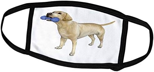 3drose boehm כלב גרפי - לברדור בז 'עומד עם צעצוע כלב כחול - מסכות פנים