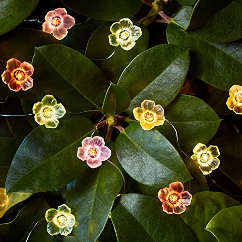 Lights4Fun, Inc. 20 סוללת פרחים ורדים צבעוניים מופעלת
