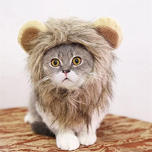 Jinyawei כובע חיות מחמד חמוד אריה רעמה חתול פאה חיית מחמד כלב קטן חתולים תלבוש