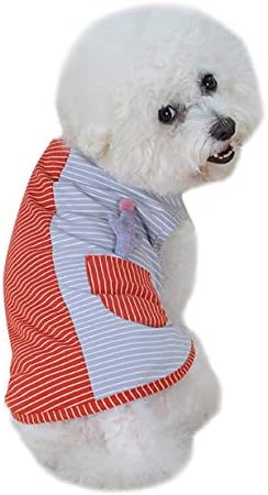 חולצת כלבים לחיות מחמד אפוד אפוד חתול חולצת טריקו כיס קקטוס חולצה מפוספס