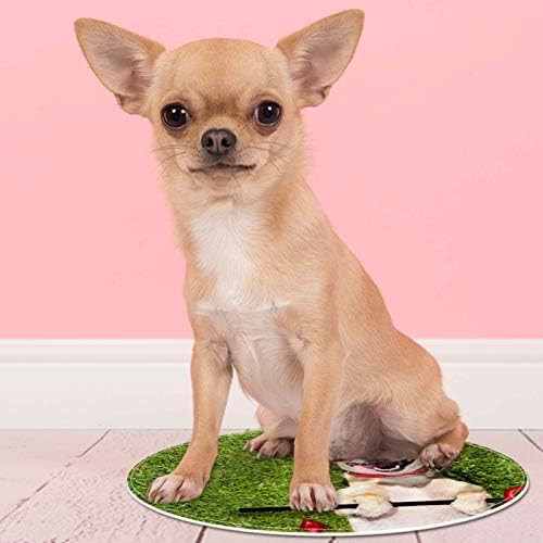 Heoeh chihuauhua כלב רוח רפאים ליל כל הקדושים, שפשפת ללא החלקה 15.7 שטיחים שטיחים שטיחים שטיחים לילדים לחדר שינה חדר משחק חדר משחק חדר משתלת