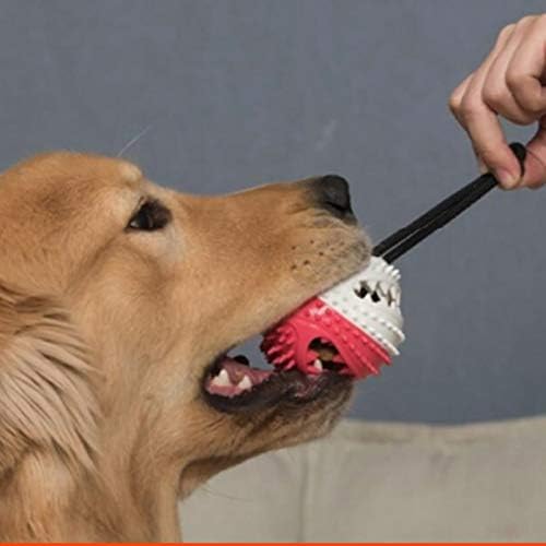 SCDCWW צעצועי כלבים עמידים לנשיכה גורי חיות מחמד גורים כלבים נושכים את עצמם מנגנים כדור משיכה פראייר