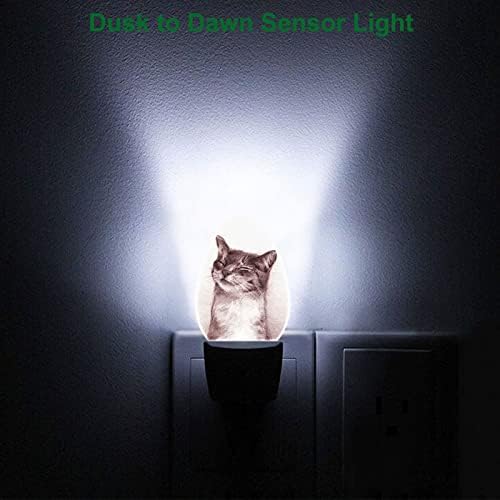 סווונו יד מצוירת מנורת לילה של חתול צוחק עם חיישני אור חתלתול חמוד חיוך מתוק אור לילה אוטומטי כבוי 0.5 וואט אורות לילה מתחברים לקיר לחדר האמבטיה בחדר השינה